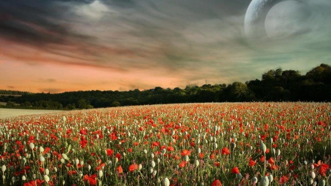 为什么《歌手》不请周杰伦、陈奕迅、王菲、张学友、孙燕姿、梁静茹、王力宏、林俊杰当节目嘉宾？